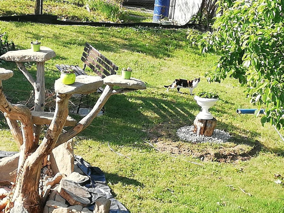 Apartmany Mk U Modre Kocky Nové Hrady Dış mekan fotoğraf